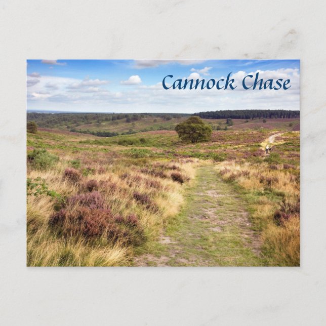Carte Postale Cannock Chase in Staffordshire photo souvenir (Devant)