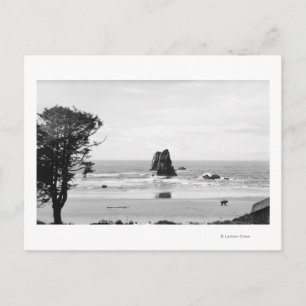 Carte Postale Cannon Beach, Oregon Scene avec les aiguilles