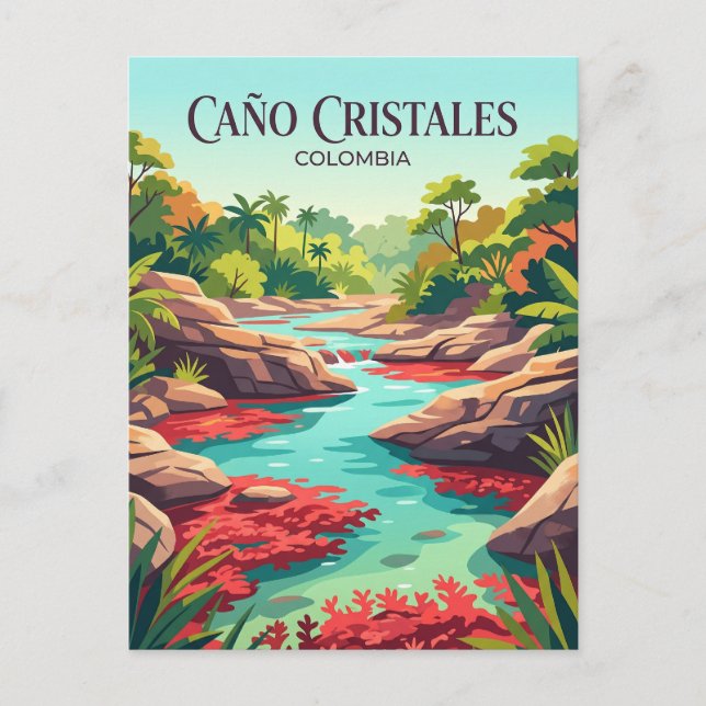 Carte Postale Caño Cristales Colombie (Devant)