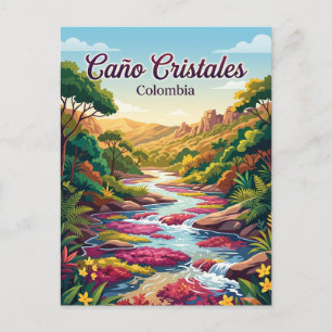 Carte Postale Caño Cristales Colombie