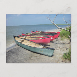 Carte Postale Canoës d'Assateague