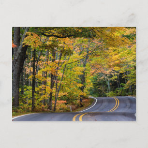 Carte Postale Canopée automnale de couleur le long de la route 4