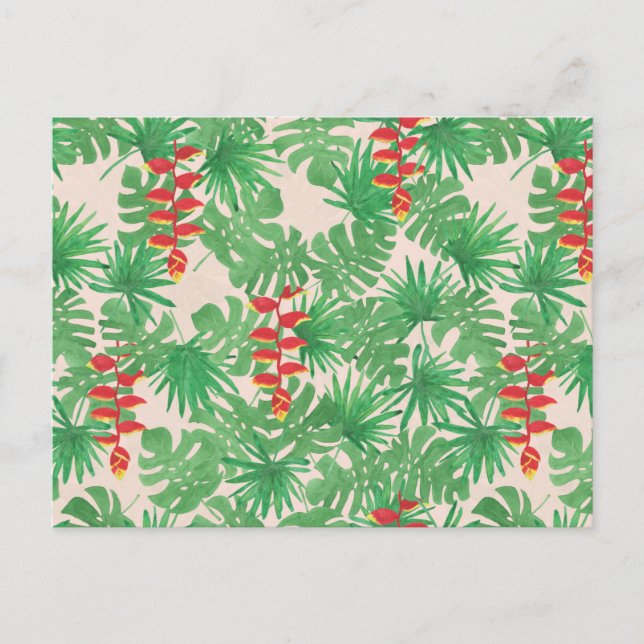 Carte Postale Canopée tropicale (Devant)