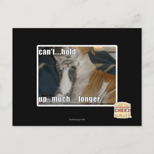 Carte Postale Can't Hold Up Much Longer