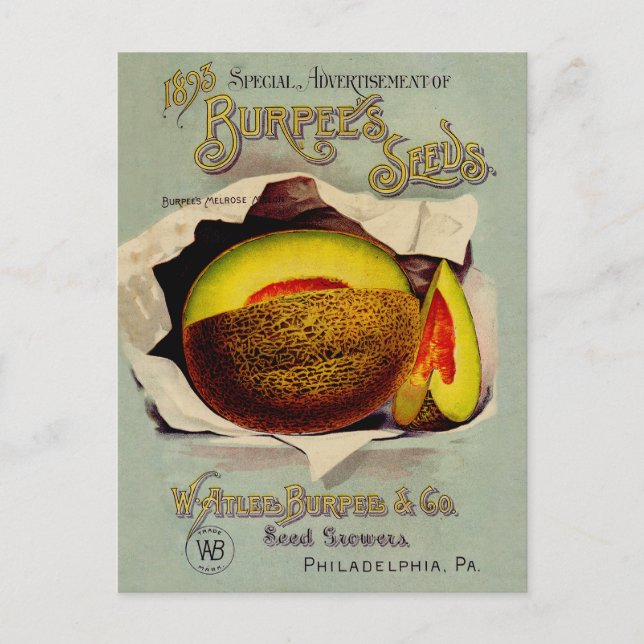 Carte Postale Cantaloupe Semences Publicité Art Antique (Devant)