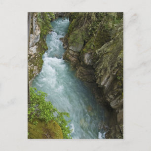 Carte Postale Canton de Johnston