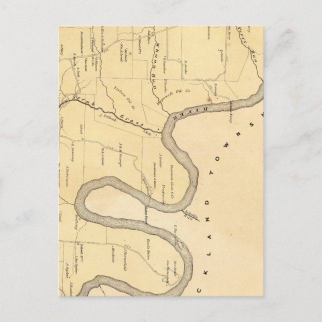 Carte Postale Canton de Scrub Grass (Devant)