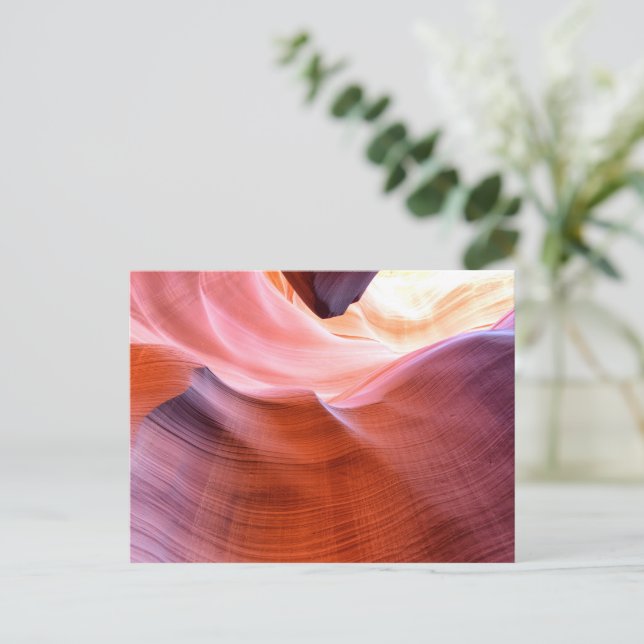 Carte Postale Canyon Antelope (Debout devant)