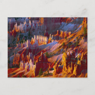 Carte Postale Canyon Bryce, Utah, États-Unis 2