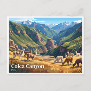 Carte Postale Canyon Colca Chivay Pérou