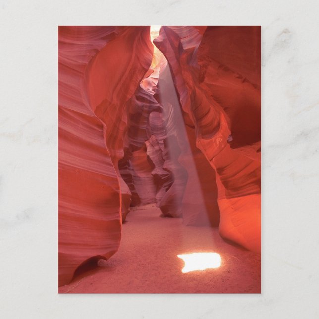 Carte Postale Canyon Corkvis, Arizona (Devant)