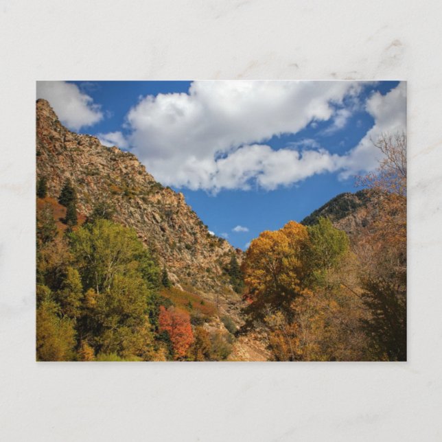 Carte Postale Canyon de Cottonwood Pittoresque Byway Automne dan (Devant)