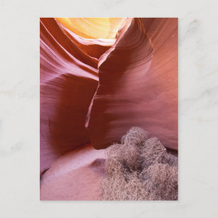 Carte Postale Canyon de nombreuses couleurs