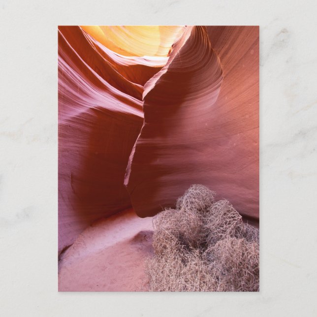 Carte Postale Canyon de nombreuses couleurs (Devant)