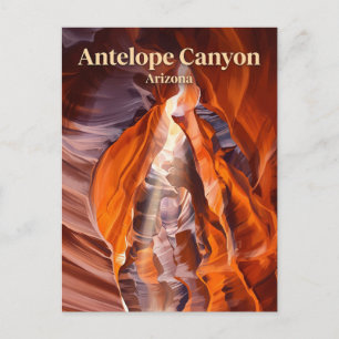 Carte Postale Canyon du Cerf-pronghorn Arizona