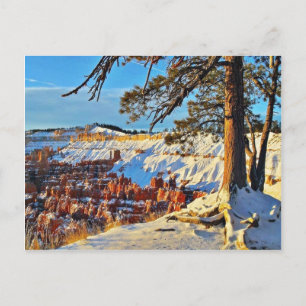 Carte Postale Canyon Hiver Pins De Neige Arbres Utah
