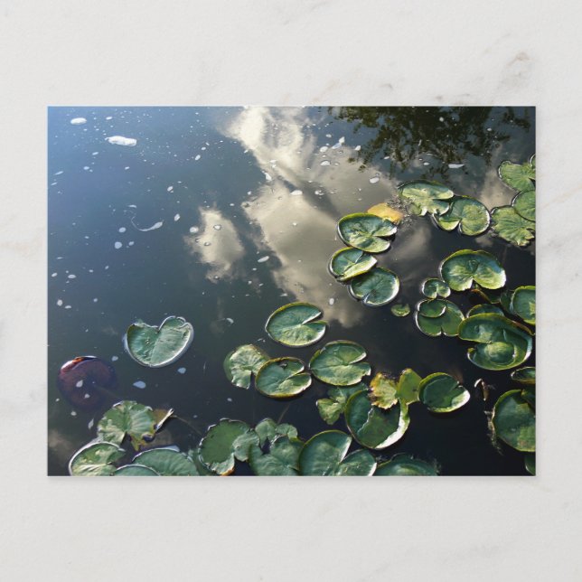 Carte postale Canyon Lakes (Devant)