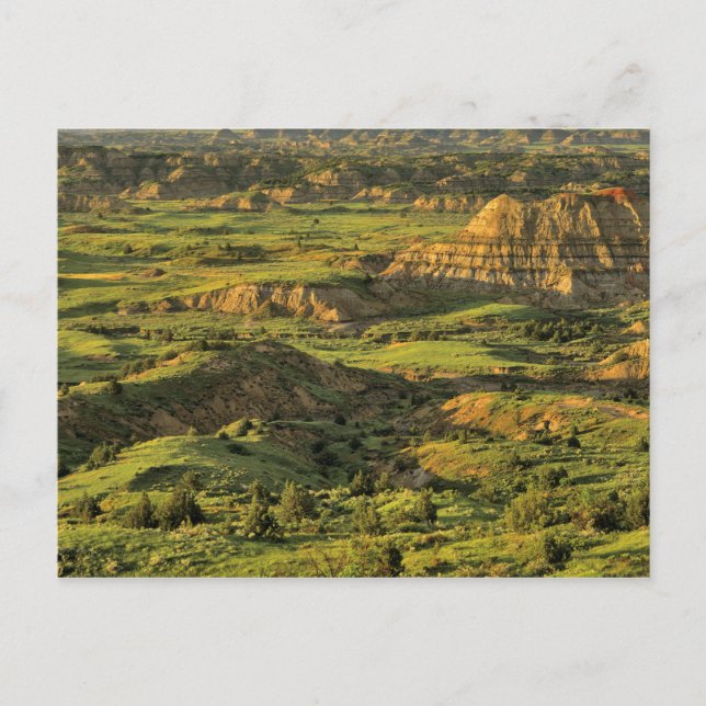 Carte Postale Canyon peint après l'orage à Theodore Roosevelt (Devant)