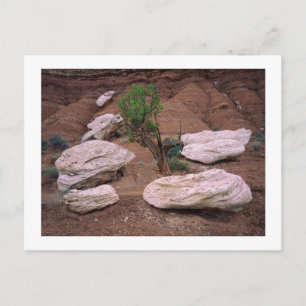 Carte Postale "Canyon Pods"