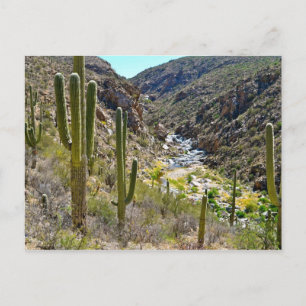 Carte Postale Canyon Tanque Verde