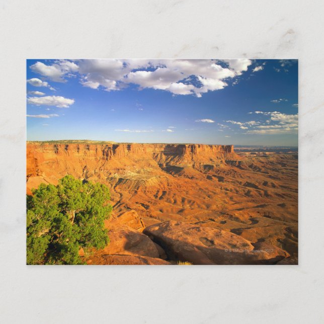 Carte Postale Canyonlands National Park, Utah, États-Unis (Devant)