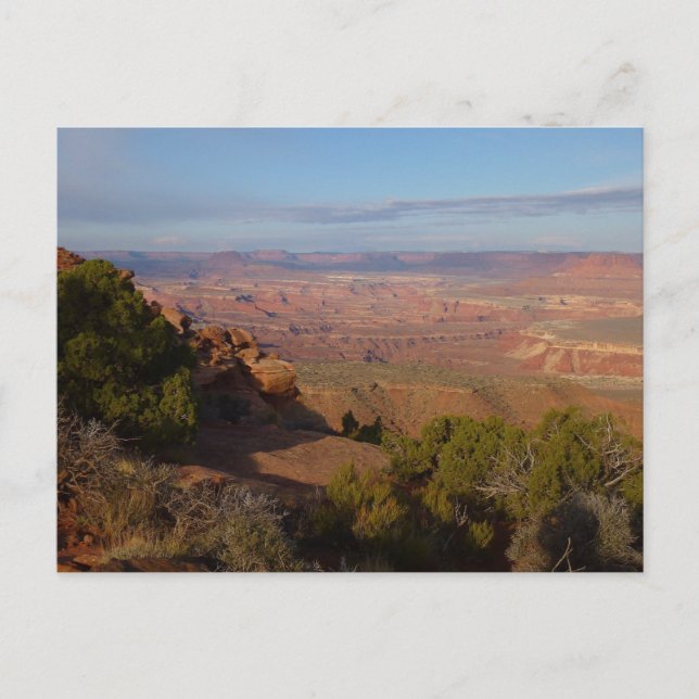 Carte Postale Canyonlands Vue depuis Grand View Point Trail (Devant)