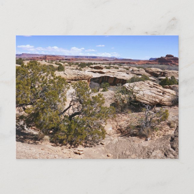 Carte Postale Canyonlands Vue depuis le sentier Cave Springs (Devant)