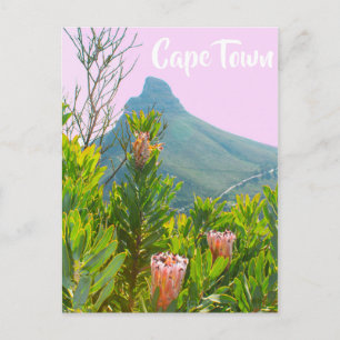 Carte Postale Cap Afrique du Sud Protea Tête du lion