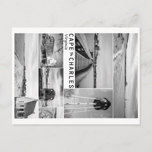 Carte Postale Cap Charles. (Devant)