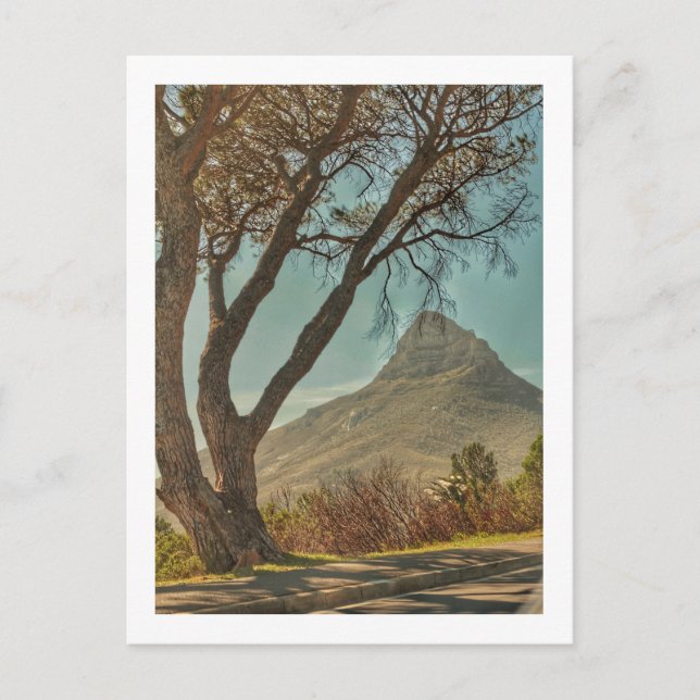 Carte Postale Cap Lion's Head Landscape Afrique du Sud (Devant)