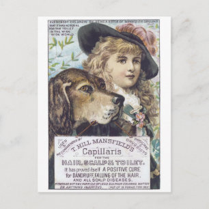 Carte Postale Capallaris de Mansfield