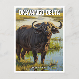 Carte Postale Cape Buffalo dans le delta de l'Okavango au Botswa