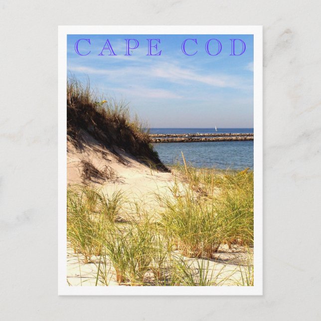 Carte Postale Cape Cod Dune (Devant)