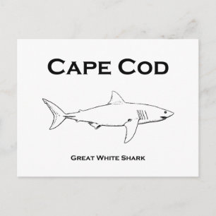 Carte Postale Cape Cod Massachusetts Great White Shark Logo