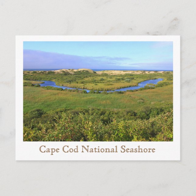Carte Postale Cape Cod National Seashore Pilgrim Heights (Devant)