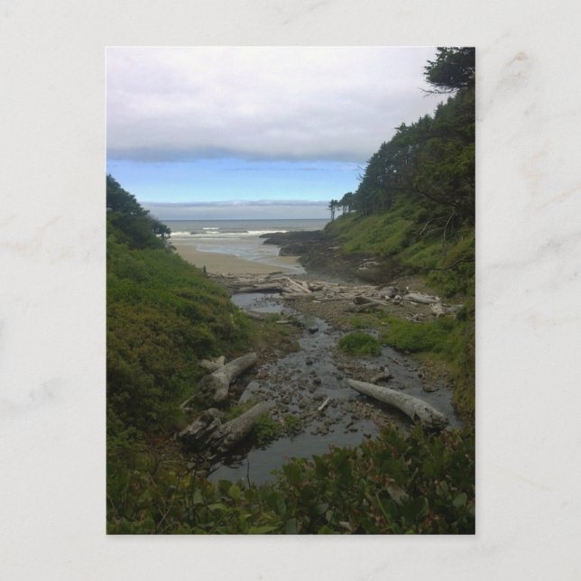 Carte Postale Cape Cove, Cape Perpetua, Oregon (Devant)