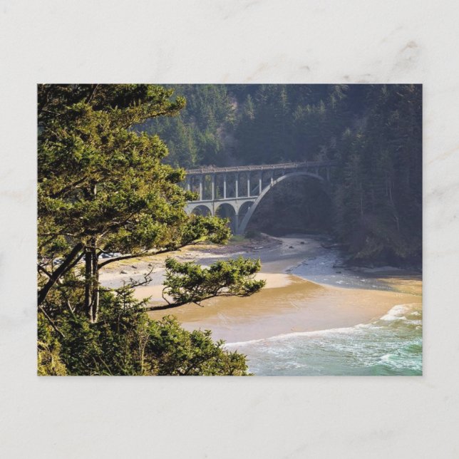 Carte Postale Cape Creek (Devant)