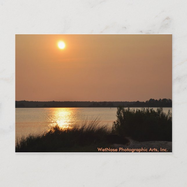 Carte Postale Cape Fear (Devant)