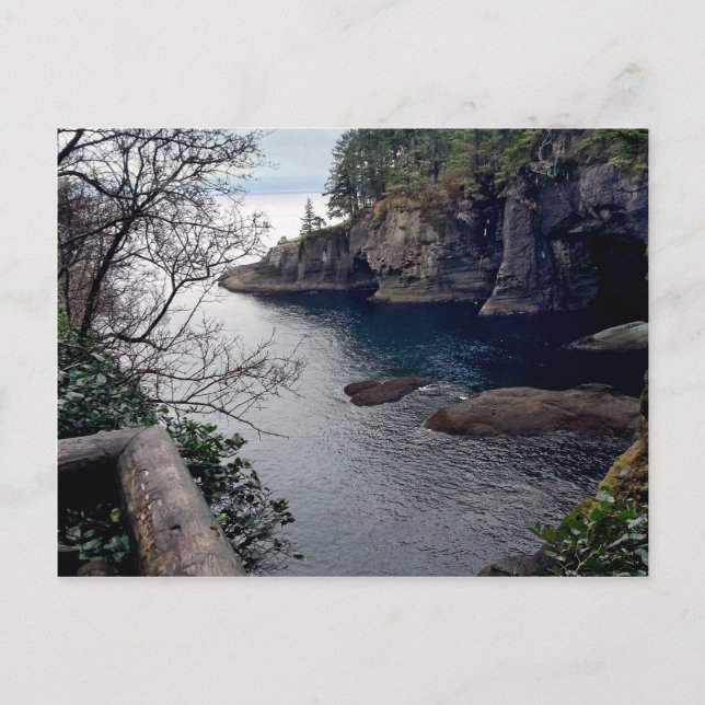 Carte Postale Cape Flattery Olympic Peninsula - Washington (Devant)