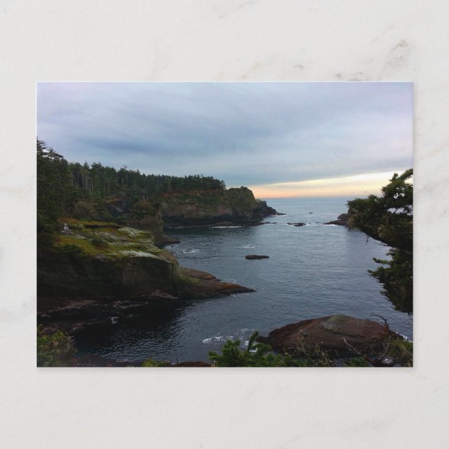 Carte Postale Cape Flattery Olympic Peninsula - Washington (Devant)