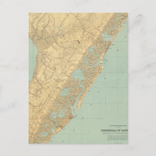 Carte Postale Cape May, New Jersey (Devant)