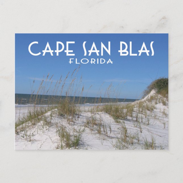 Carte Postale Cape San Blas Floride (Devant)