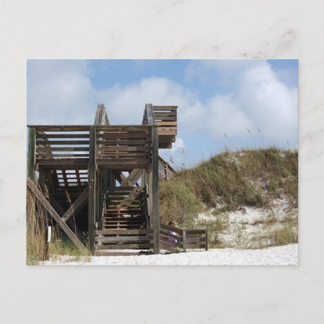 Carte Postale Cape San Blas Floride Dunewalk du côté de la plage (Devant)