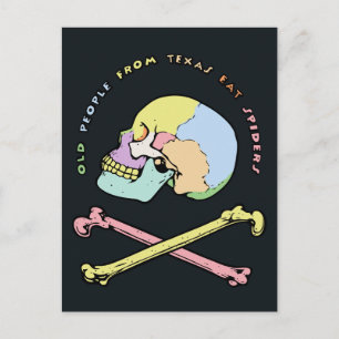 Carte Postale Capitaine Skull Mnemonic