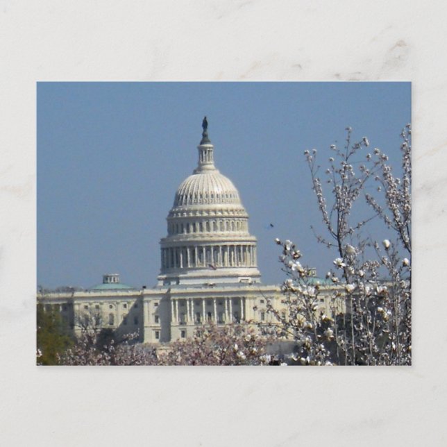 Carte Postale Capitole des États-Unis Washington DC 002 (Devant)