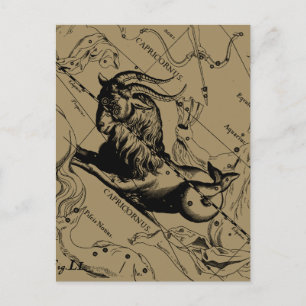 Carte Postale Capricorne Constellation Vintage Engraving Heveliu