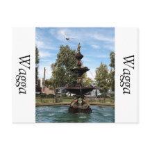 Capture d'oiseau volant de la fontaine