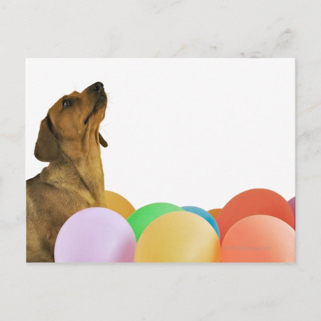 Carte Postale Capture Studio (Devant)