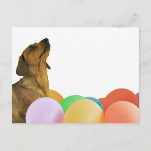 Carte Postale Capture Studio