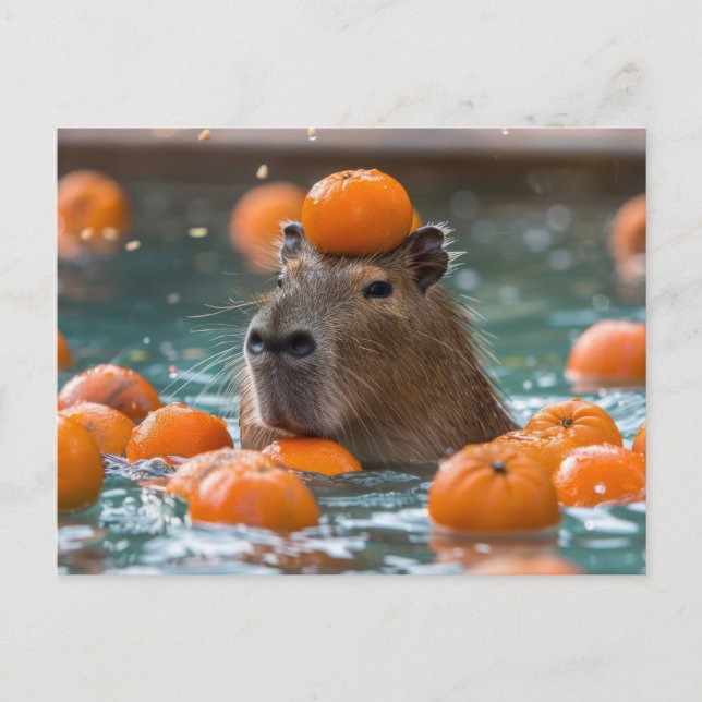 Carte Postale Capybara avec Oranges flottantes (Devant)